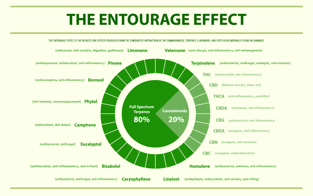 terpenes and entourage effect